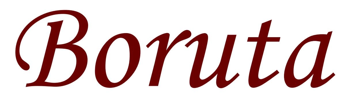 logo-boruta